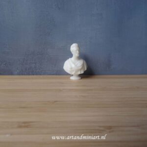 bust, borstbeeld, geschiedenis, amerikaanse president, poppenhuis, resin, 20 dollarbiljet