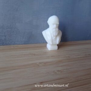 Evolutie theorie, Bust, borstbeeld, man, biologie, evolutie, poppenhuis, resin,