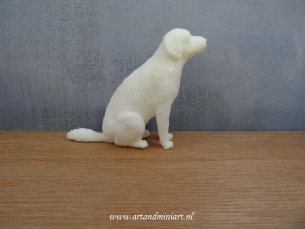 golden doodle , hond, ras, hondenras, poppenhuis, miniatuur, resin, 3d print