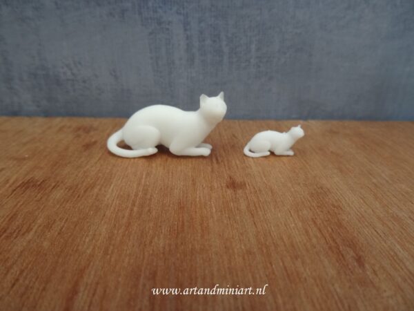 kat, kater, poes, kitten, dier, zoogdier, huisdier, poppenhuis, miniaturen, 3d print, resin,