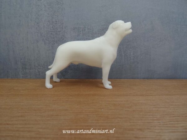 hond labrador, rashond, huisdier, resin, poppenhuis, miniatuur