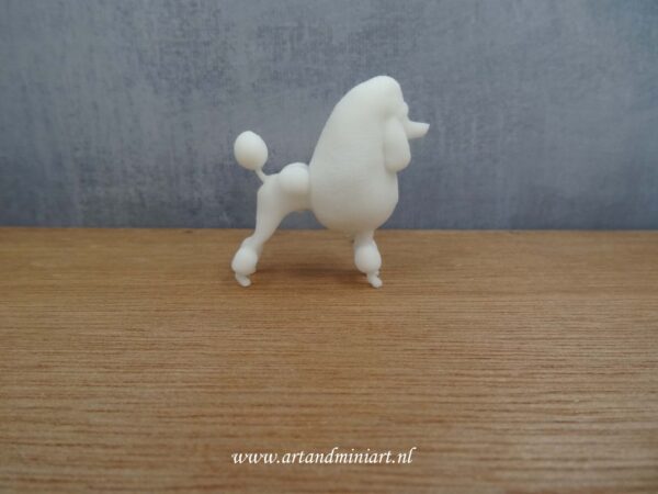 poedel , continantal, poppenhuis, hond, hondenras, huisdier, miniatuur,