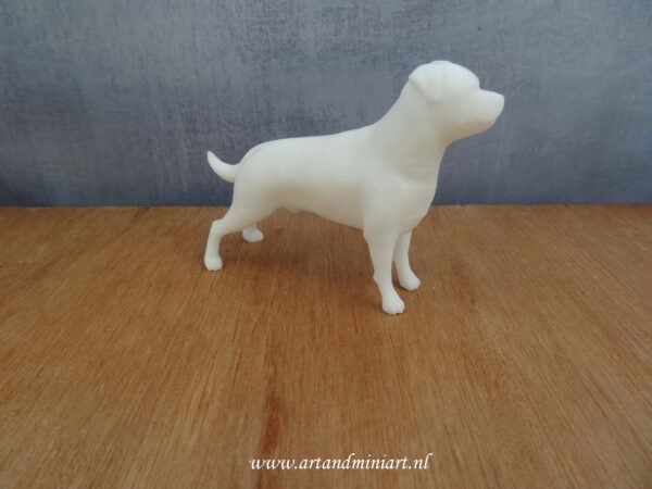 hond, k9, decoratie, decoratief, creatief, puppy, rashond, stamboom , resin, poppenhuis, 1:12, mens best friend, art,