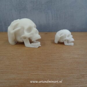 skul, schedel, skelet, dood, death, menselijk lichaam, horror, decoratie, decoratief, attractief, schilderbaar, resin, wit, poppenhuis, klein