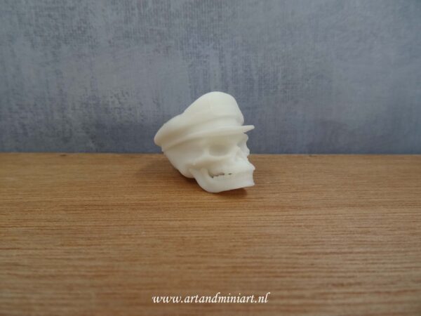 skul, schedel, skelet, dood, death, menselijk lichaam, horror, decoratie, decoratief, attractief, schilderbaar, resin, wit, poppenhuis, klein