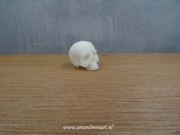 skul, schedel, skelet, dood, death, menselijk lichaam, horror, decoratie, decoratief, attractief, schilderbaar, resin, wit, poppenhuis, klein