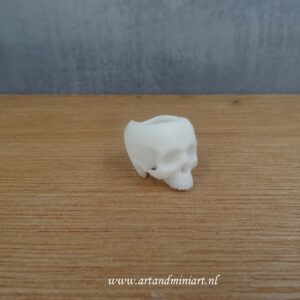 skul, schedel, skelet, dood, death, menselijk lichaam, horror, decoratie, decoratief, attractief, schilderbaar, resin, wit, poppenhuis, klein