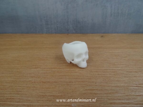 skul, schedel, skelet, dood, death, menselijk lichaam, horror, decoratie, decoratief, attractief, schilderbaar, resin, wit, poppenhuis, klein