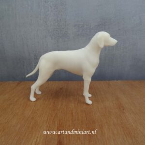 hond, k9, decoratie, decoratief, creatief, puppy, rashond, stamboom , resin, poppenhuis, 1:12, mens best friend, art,