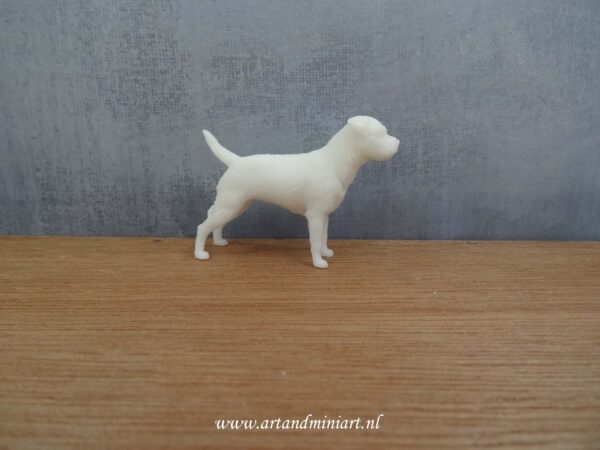 hond, hondenras, rashond, resin, zelf schilderen, border terrier, poppenhuis, miniatuur, beeldje,