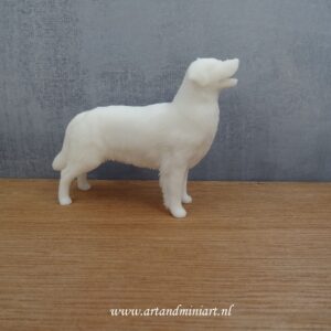 golden retriver, teef, reu, hond, hondenras, rashond, poppenhuis ,miniatuur