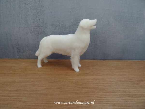 golden retriver, teef, reu, hond, hondenras, rashond, poppenhuis ,miniatuur