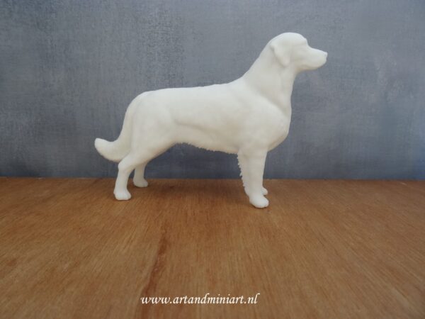 golden retriever, hond, hondenras, rashond, huisdier, dier, poppenhuis, beeld miniatuur, 1:12 , 1:24 zelf schilderen