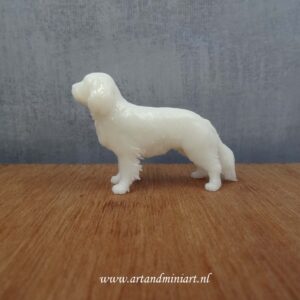 cavelier prins charles spaniel, hond, hondenras, rashond, huisdier, poppenhuis, miniatuur