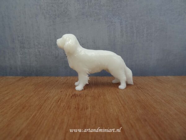 cavelier prins charles spaniel, hond, hondenras, rashond, huisdier, poppenhuis, miniatuur