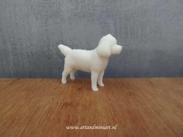 cockerpoo, cocker spaniel, poedel, hond, hondenras, poppenhuis, book nook, miniaturen