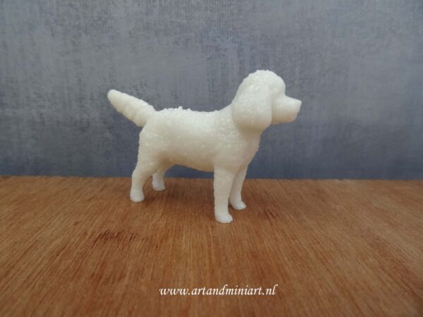 cocker spaniel, poedel, cockerpoo, hond, dierenvriend, dier, huisdier, rashond, poppenhuis, miniatuur, resin