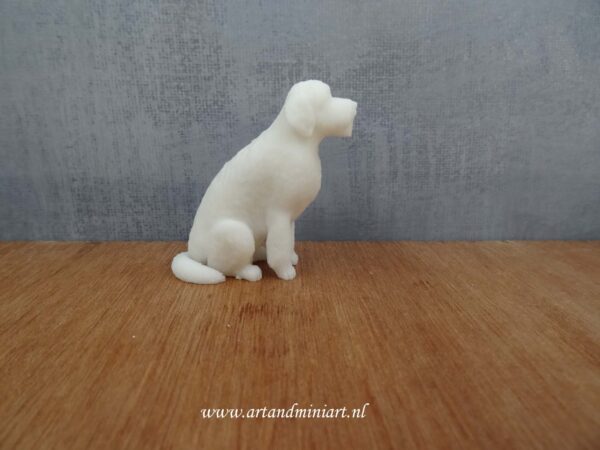 rashond, golden retriever, poedel, hond, dier, huisdier, hulphond, poppenhuis, miniatuur