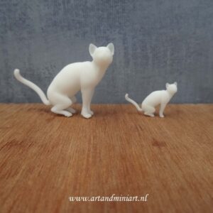 kat huisdier, zoogdier, poes, kater, kitten , poppenhuis, miniaturen, resin, 3d print