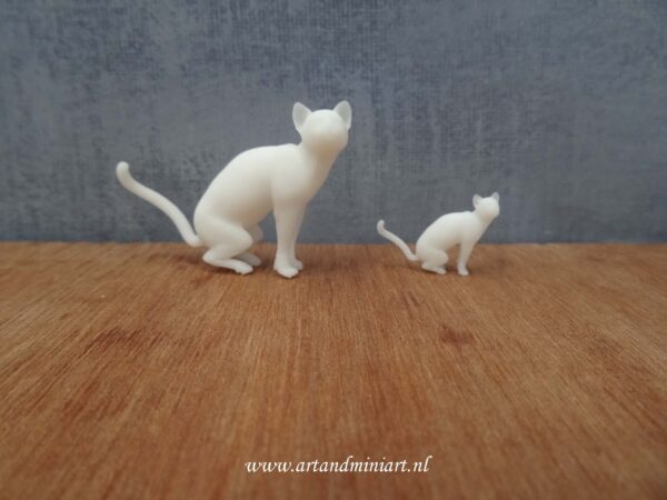 kat huisdier, zoogdier, poes, kater, kitten , poppenhuis, miniaturen, resin, 3d print
