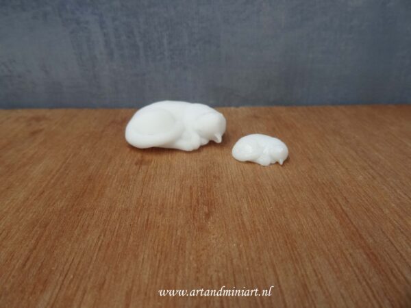 kat poes, kittem huisdier, poppenhuis, miniaturen, resin, 1:12 . 1:24 , 3d print