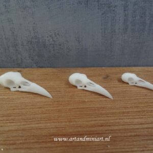 skull, raaf, schedel, vogel, skull, poppenhuis, miniatuur, zelf schillderen, resin