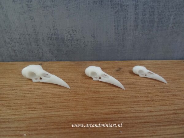 skull, raaf, schedel, vogel, skull, poppenhuis, miniatuur, zelf schillderen, resin