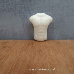 torso, body man, mannenlijf, bovenlijf, paspop, poppenhuis, miniaturen, resin, 3d print