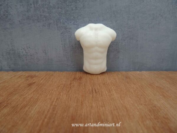 torso, body man, mannenlijf, bovenlijf, paspop, poppenhuis, miniaturen, resin, 3d print