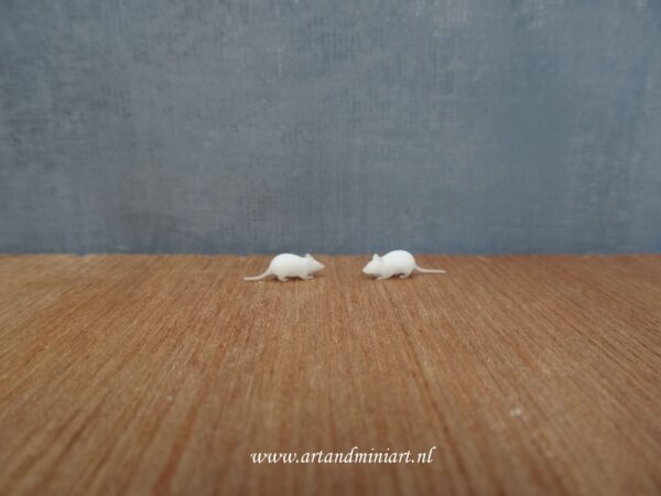 muis, muizen, knaagdier, kat, poppenhuis, miniaturen, 1:12. resin 3d print