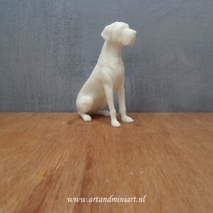 hondenras, rashond, duitse dog, poppenhuis, 1:12, resin, 2d print, miniaturen, teef, reu , puppy