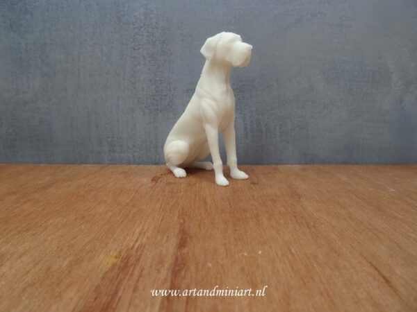 hondenras, rashond, duitse dog, poppenhuis, 1:12, resin, 2d print, miniaturen, teef, reu , puppy