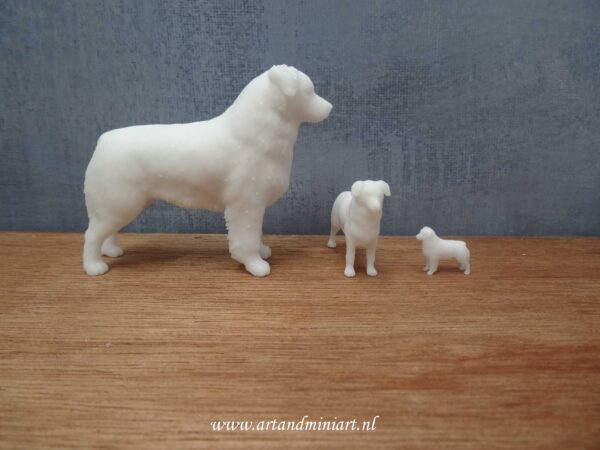 hondenras, rashond, hond, resin, 3d print, miniaturen, teef, reu, pup,