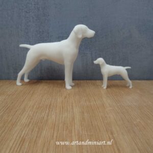 hond, hondenras, poppenhuis, miniaturen, resin, 3d print, teef, reu, pup, 1:12, 1:24