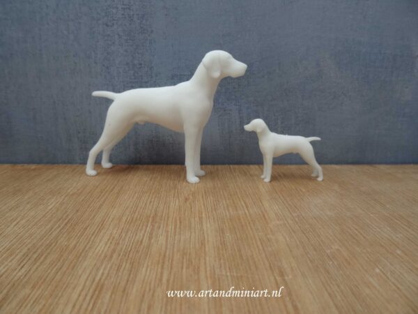hond, hondenras, poppenhuis, miniaturen, resin, 3d print, teef, reu, pup, 1:12, 1:24