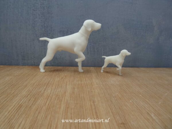 hond, hondenras, rashond, zoogdier, huisdier, poppenhuis, miniaturen, teef, reu, pup , 1:12 , 1:24