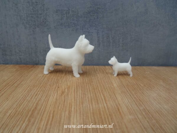 west highland terrier, hond, zoogdier, huisdier, rashond, poppenhuis, teef, reu pup, 1:12, 1:24 , resin, 3d print, malthezer leeuwtje