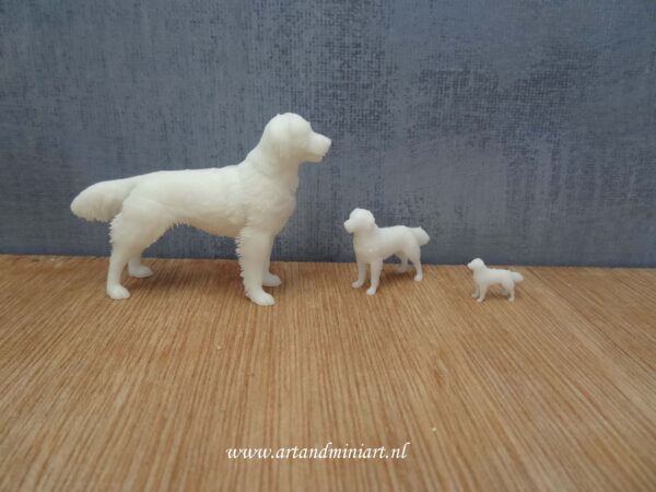 kooikerhond, hondenras, poppenhuis, teef, zoogdier, huisdier, 3d print, resin, miniaturen