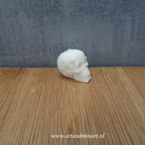 skeltet, schedel. skull , horror, poppenhuis, miniaturen, resin, 3d print , 1:12