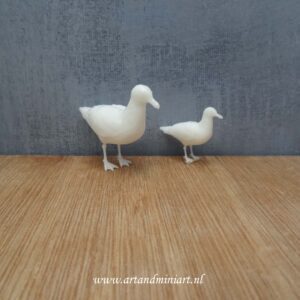 meeuw, vogel , zeevogel, poppenhuis, miniaturen, koksmeeuw, zilvermeeuw, meeuw, resin 3d print