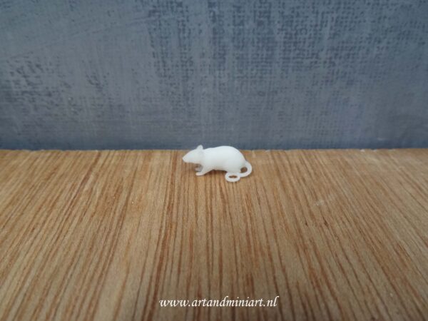 rat, knaagdier, zoogdier, huisdier, poppenhuis, miniaturen, resin, 3d print , 1:12