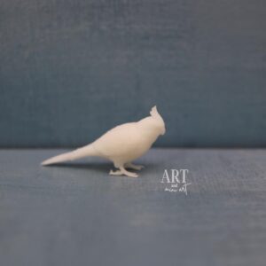 miniatuur valkparkiet, miniatuur vogel, poppenhuis dieren