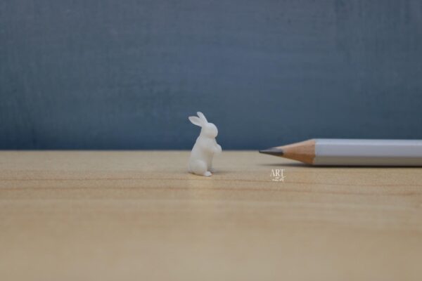 1:24 miniatuur konijn, 1:24 miniatuur knaagdieren
