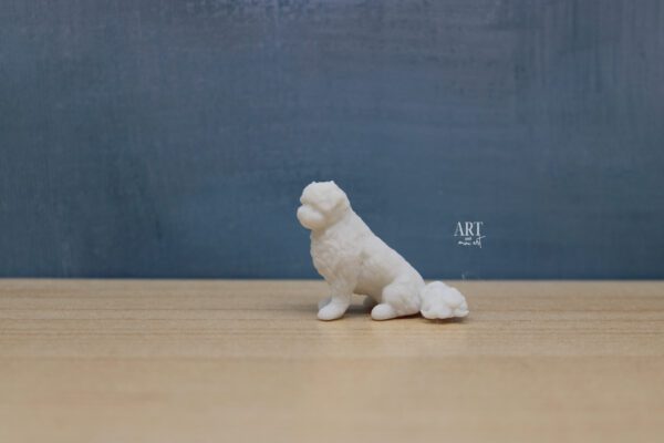 1:12 miniatuur boomer, miniatuur hond